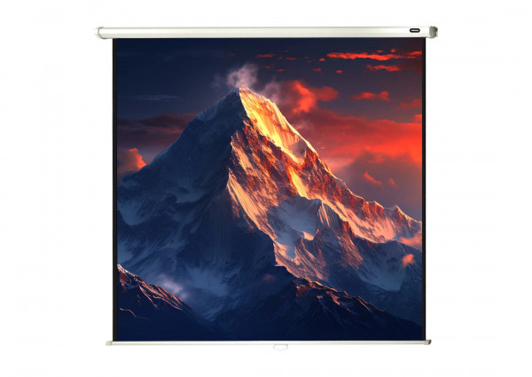 celexon Projector screen Manual Economy 180 x 180 cm