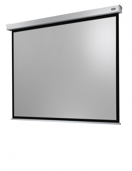 Celexon Electric Professional Plus Screen 240 x 180 cm