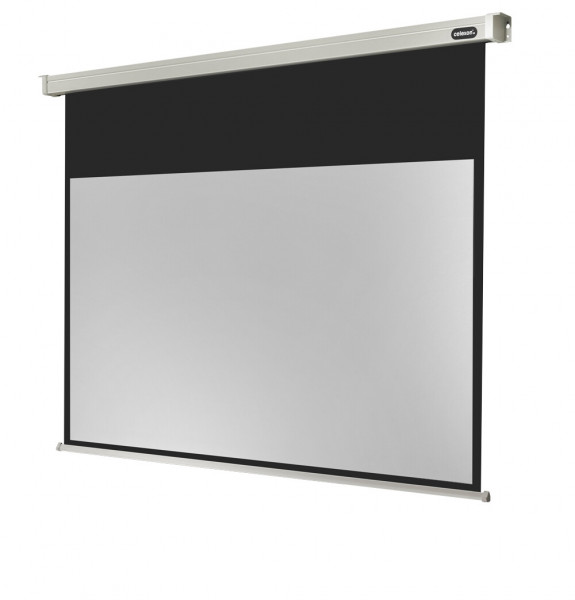 celexon Projector Screen Electric Professional 300 x 169 cm