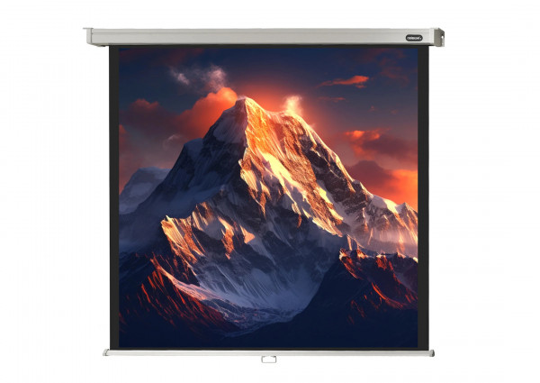 celexon Projector screen Manual Professional 280 x 280 cm