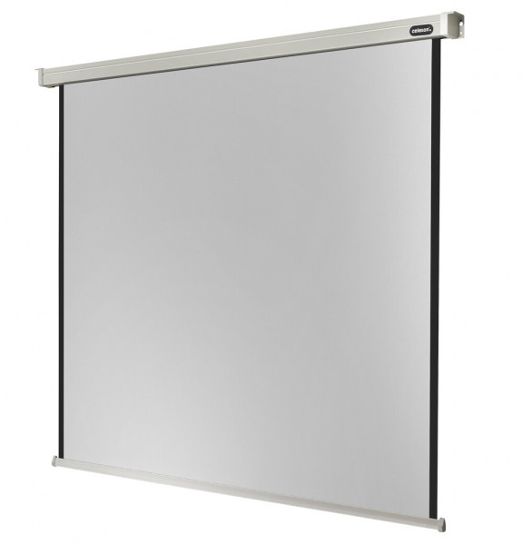 celexon Projector Screen Electric Professional 180 x 180 cm